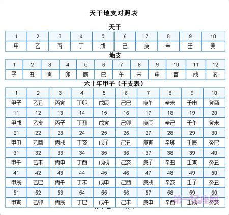 1991 天干地支|干支对照表